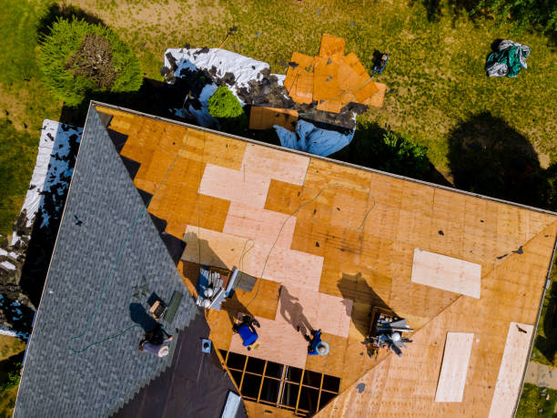 Roof Gutter Cleaning in Amsterdam, NY