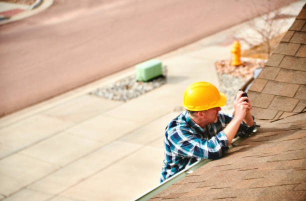 Best Roof Gutter Cleaning  in Amsterdam, NY